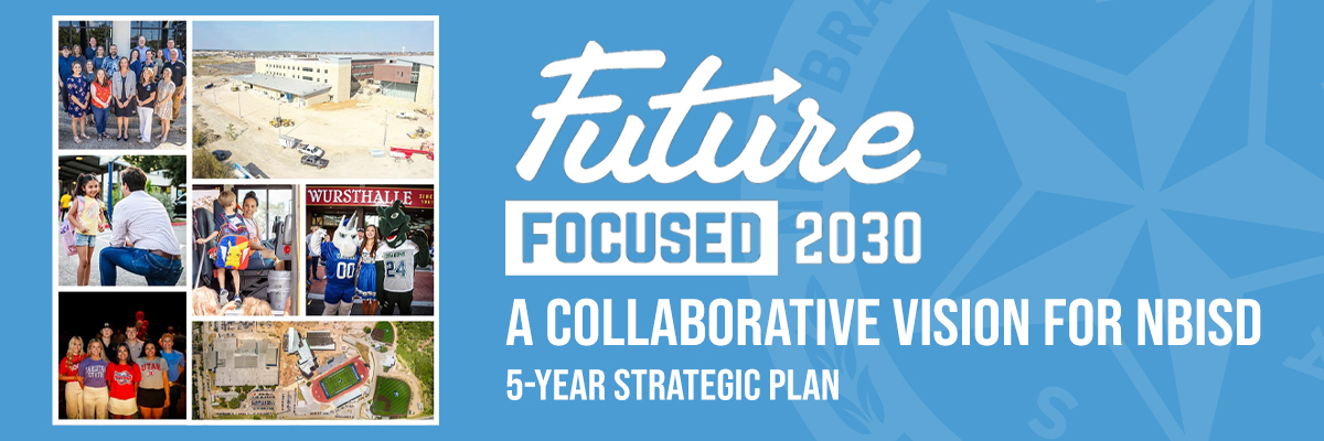 6 - Strategic Plan